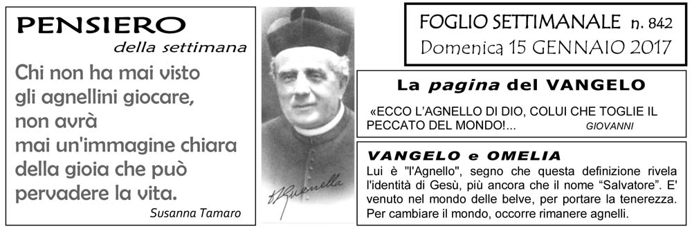 Settimana 842 alb