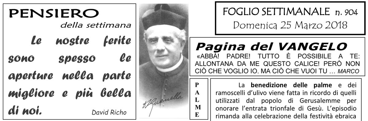 Settimana 904 alb palme