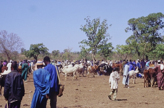 mali-africa